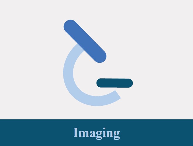 Imaging